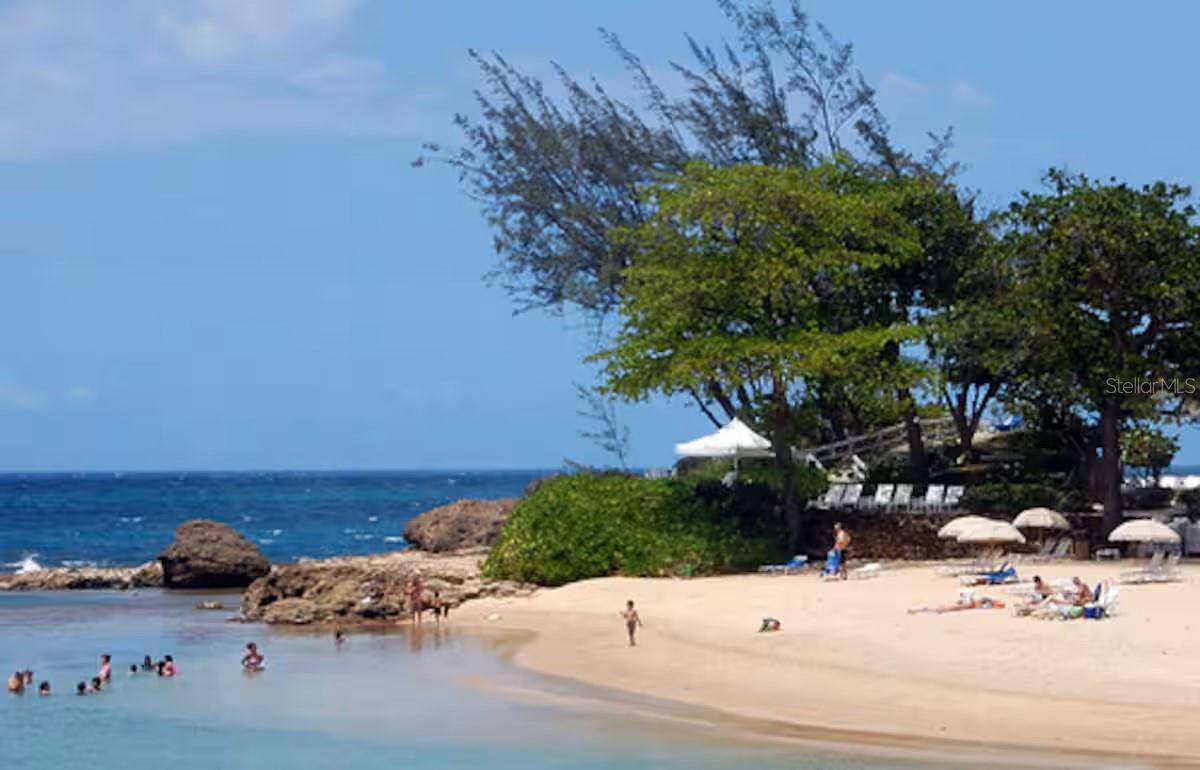 600 Manuel Fernandez Juncos #1221 Property Photo 3