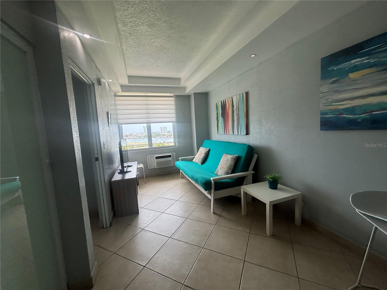 600 Manuel Fernandez Juncos #1221 Property Photo 32