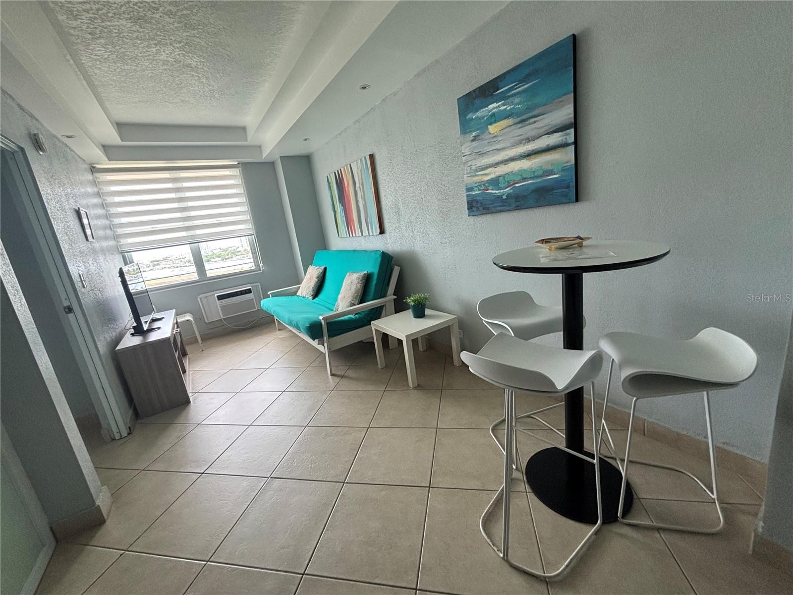 600 Manuel Fernandez Juncos #1221 Property Photo 47