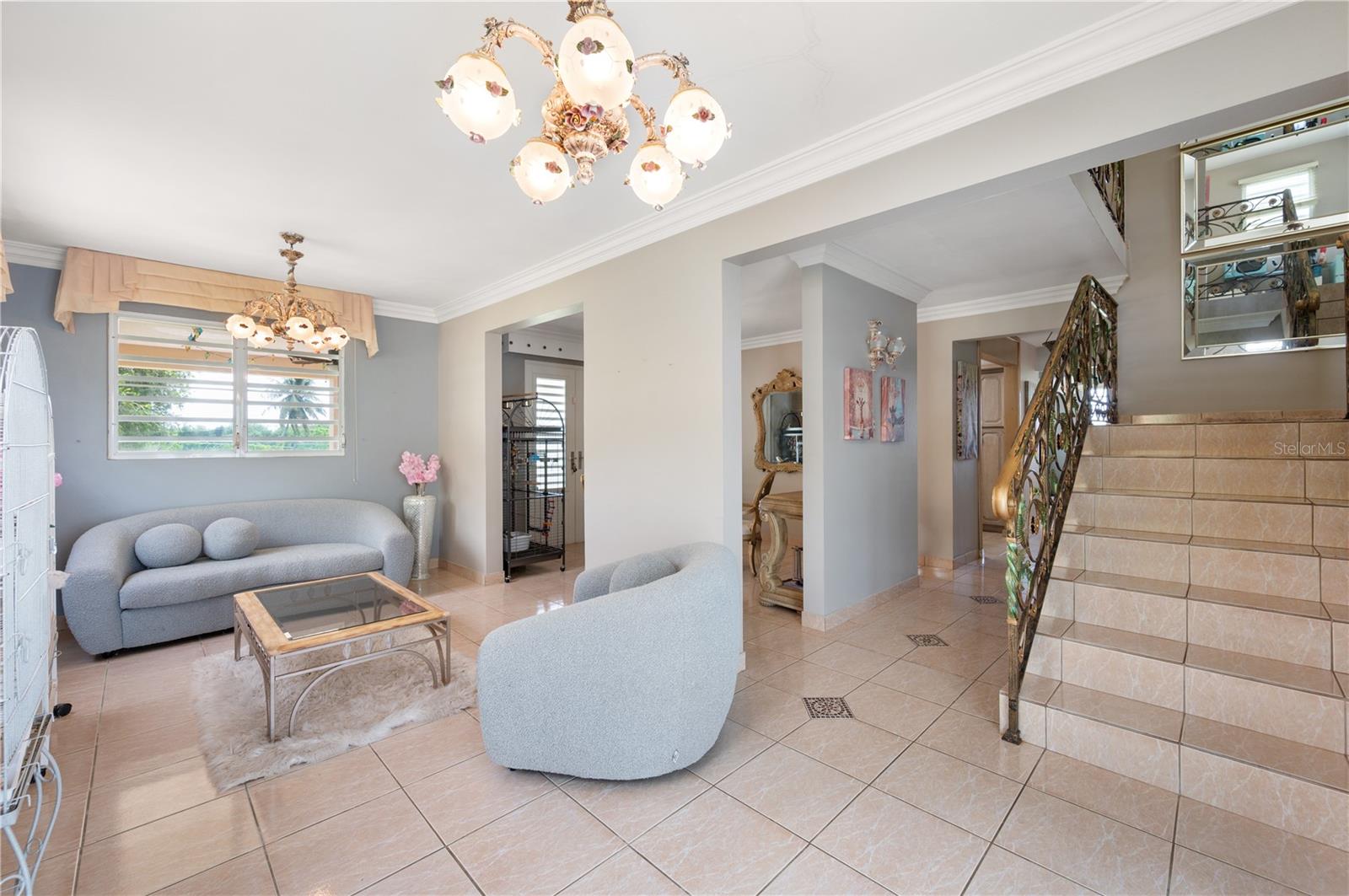 Carr. 3 Km 113.2 Bo. Guardarraya Property Photo 25