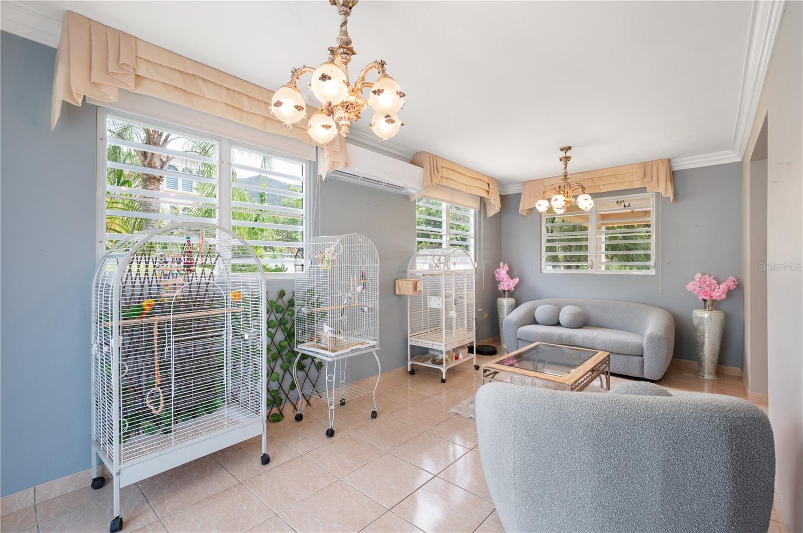 Carr. 3 Km 113.2 Bo. Guardarraya Property Photo 28