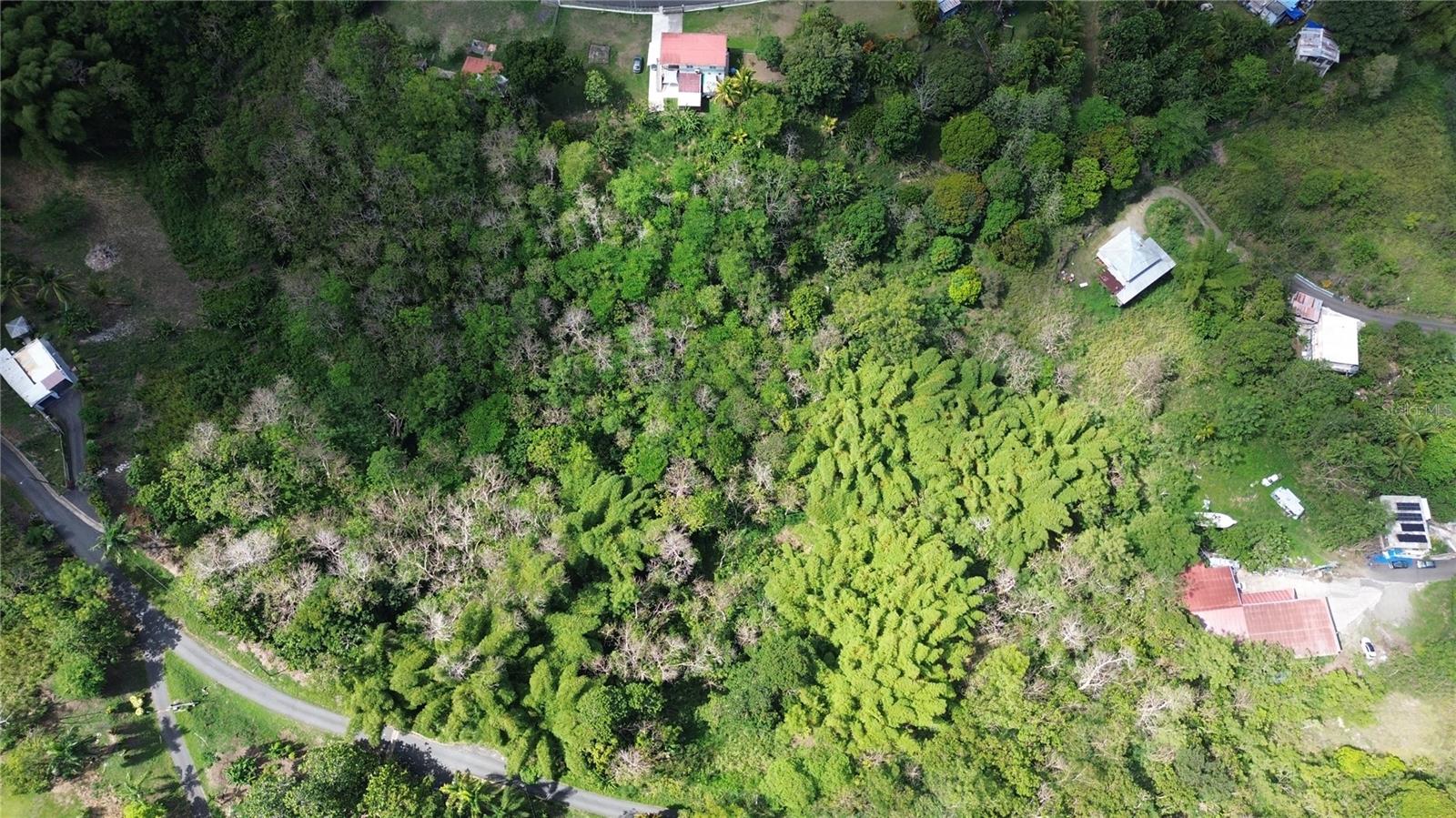 23 Campiñas Property Photo 3