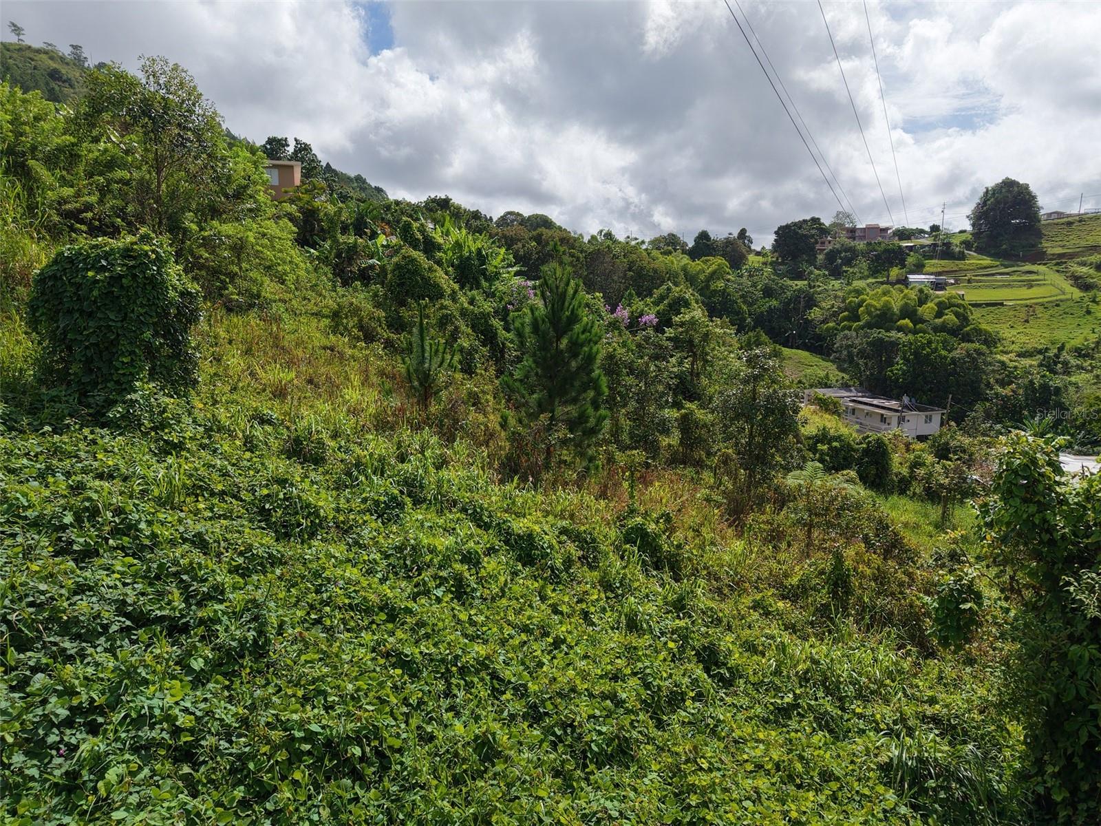 PR 772 KM 4.9 CAÑABON WARD