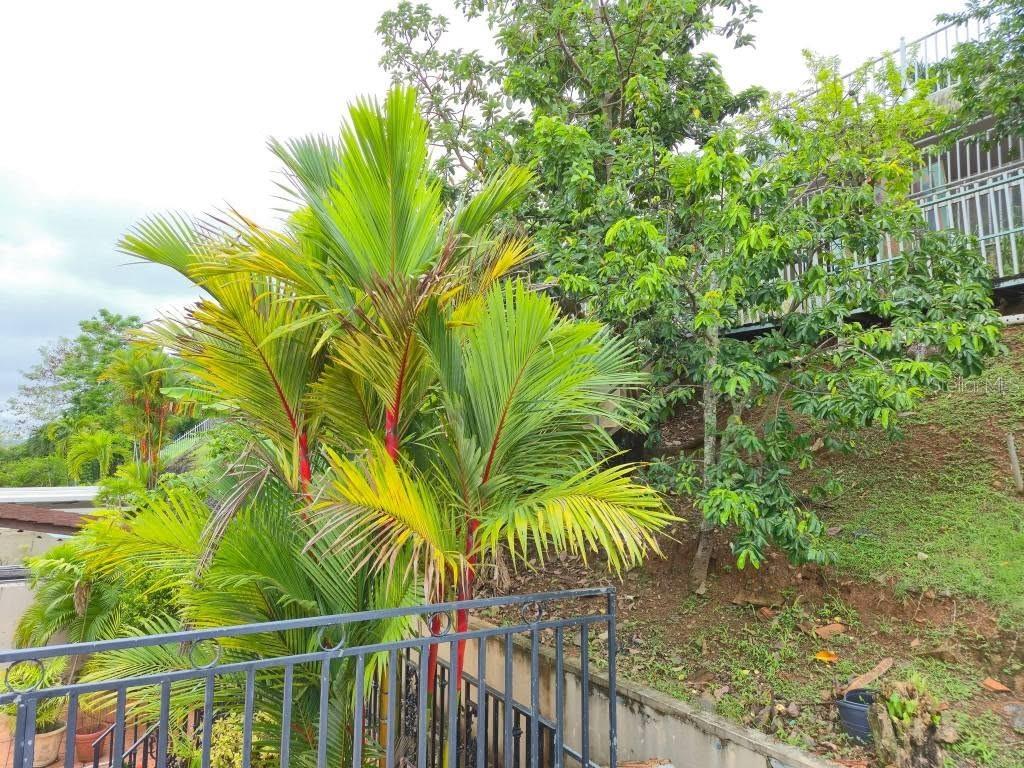 PR9124317 Property Photo 47