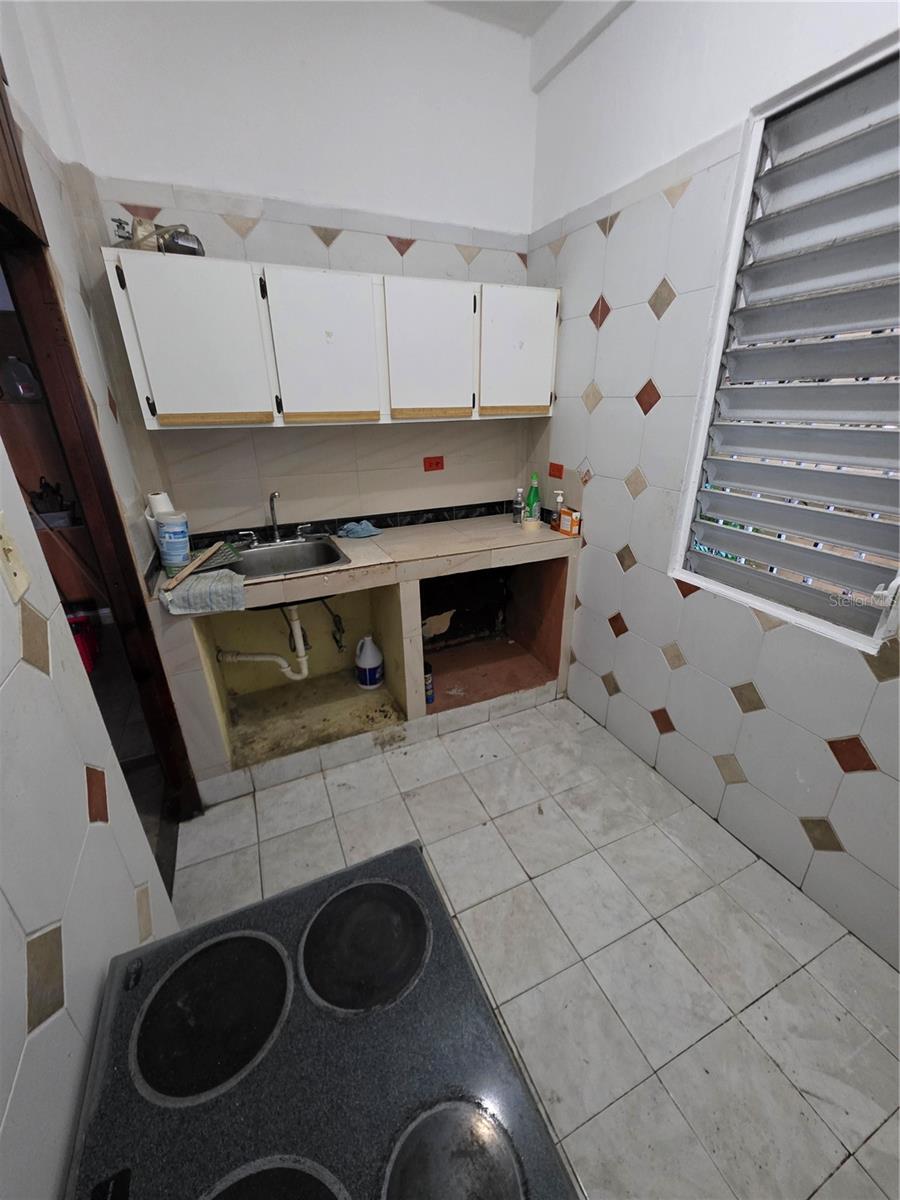 Calle Manuel Corchado #108 Property Photo 42