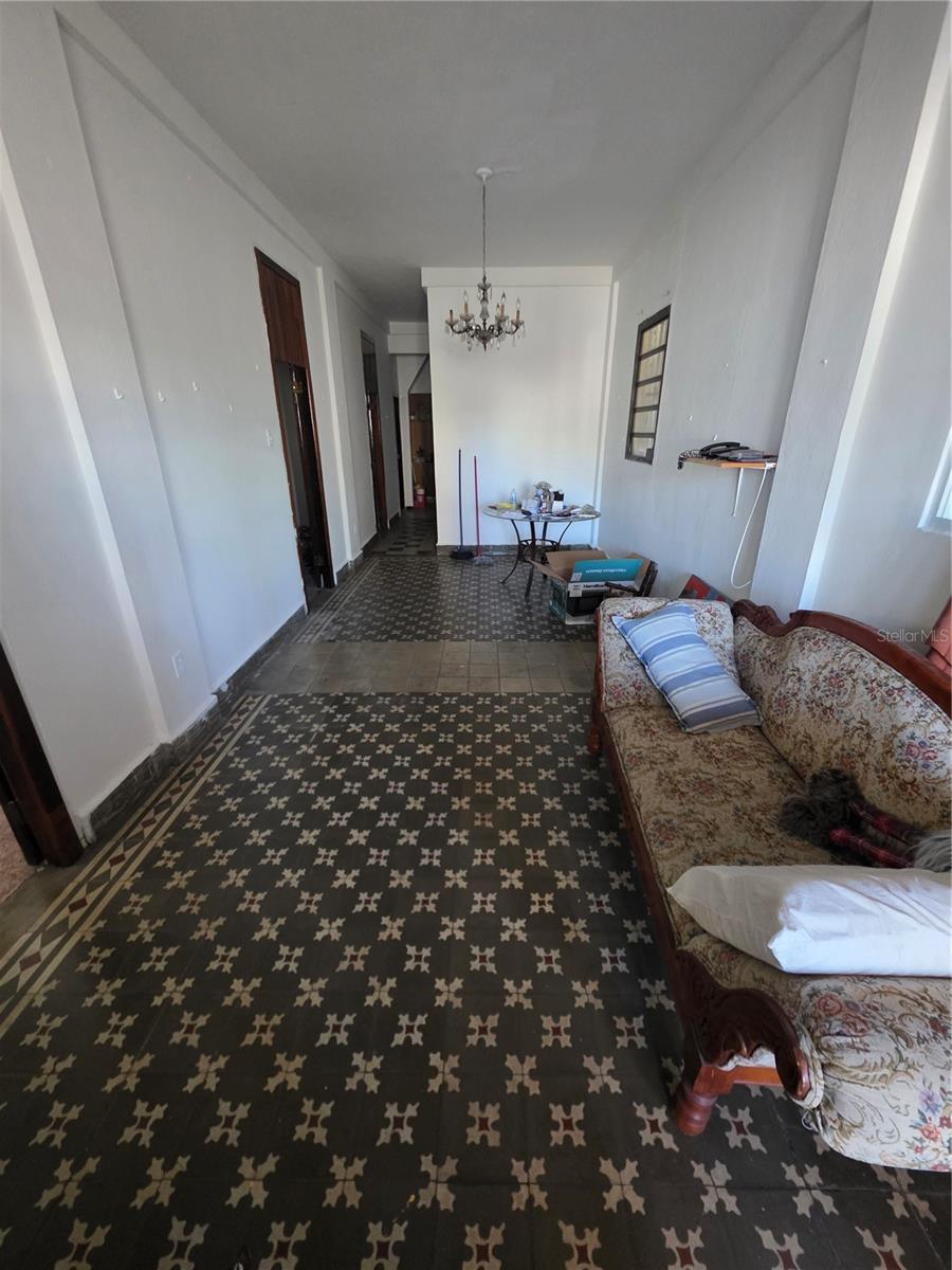 Calle Manuel Corchado #108 Property Photo 46