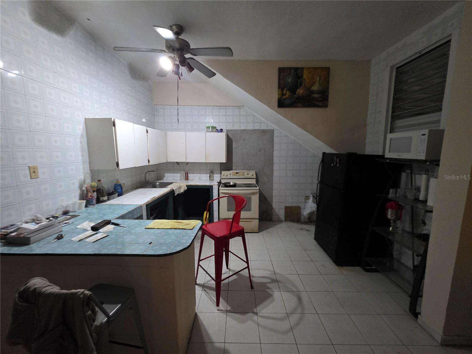 Calle Manuel Corchado #108 Property Photo 50