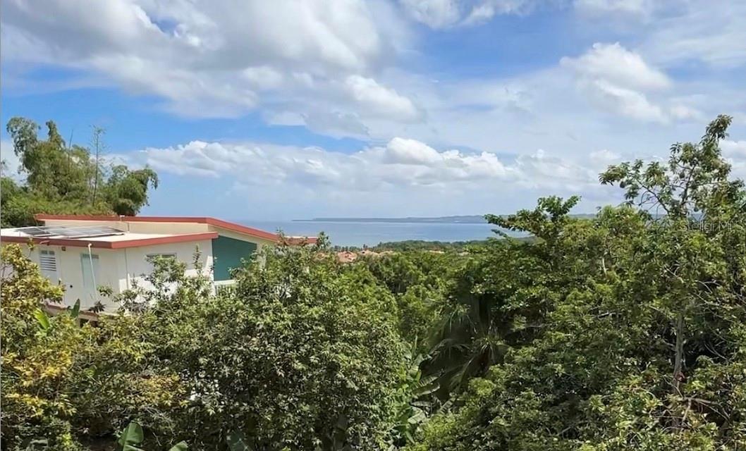 Pr-413 Km 4.7 Int Calle Miramar Bo Puntas Property Photo 5