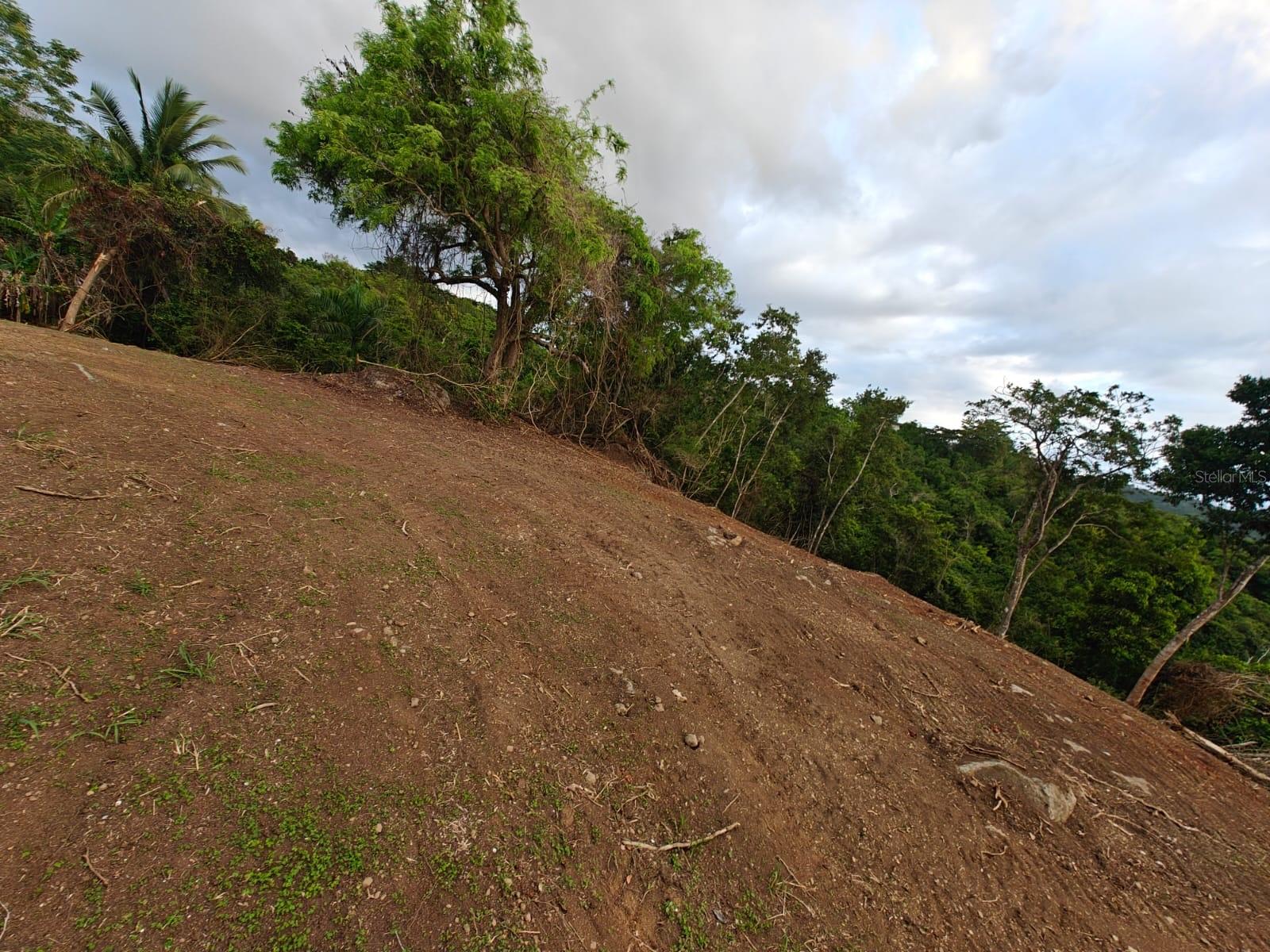 Pr-3 Haciendas De Canovanas #lot 24 Property Photo 5