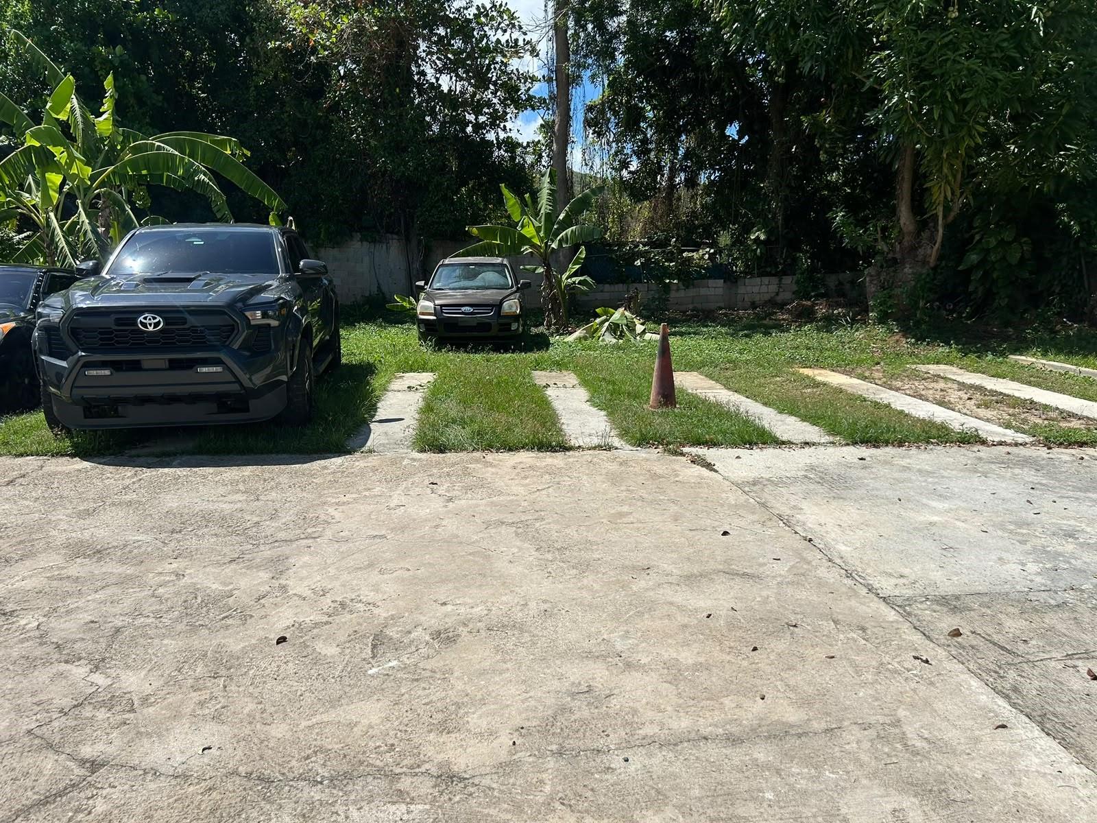 Gladiola Gladiola Property Photo 10