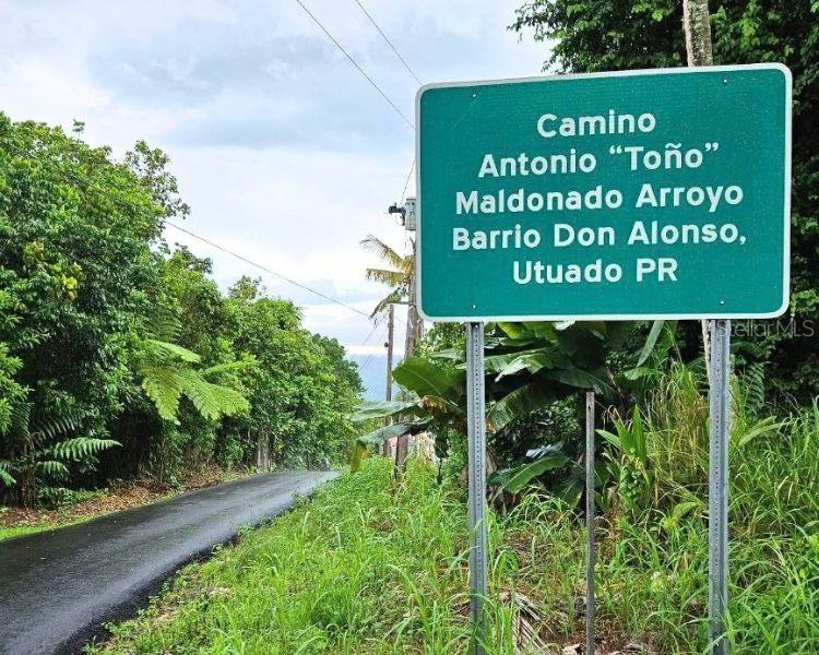 Carr 612 Don Alonso, Carr 612, Puerto Rico,00641 Property Photo 4