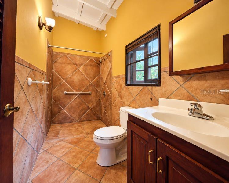 Carr 612 Don Alonso, Carr 612, Puerto Rico,00641 Property Photo 6