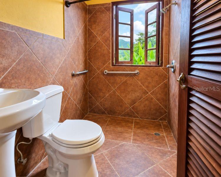Carr 612 Don Alonso, Carr 612, Puerto Rico,00641 Property Photo 8