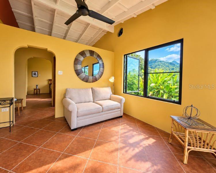Carr 612 Don Alonso, Carr 612, Puerto Rico,00641 Property Photo 9
