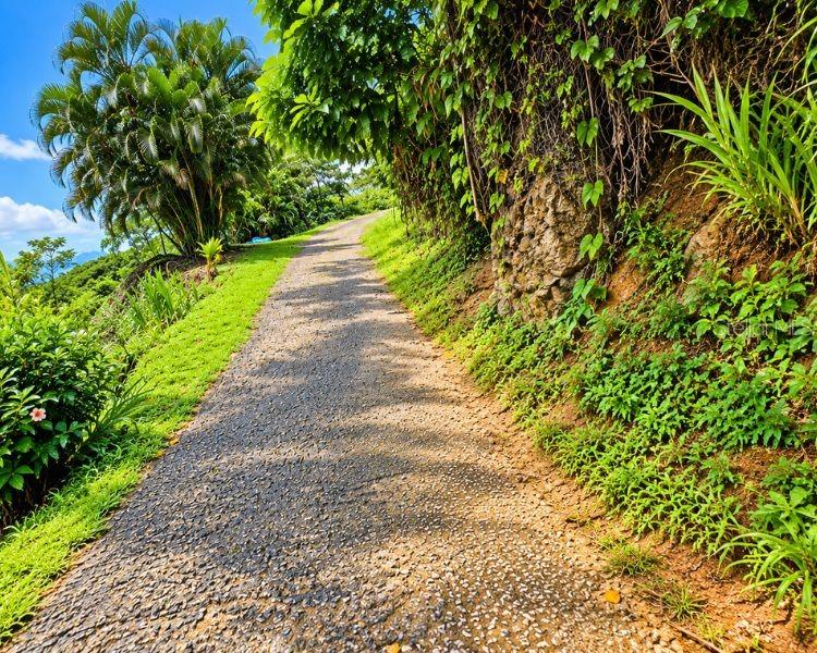Carr 612 Don Alonso, Carr 612, Puerto Rico,00641 Property Photo 14