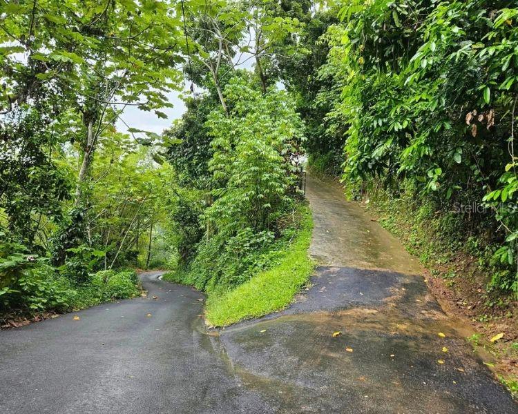 Carr 612 Don Alonso, Carr 612, Puerto Rico,00641 Property Photo 15