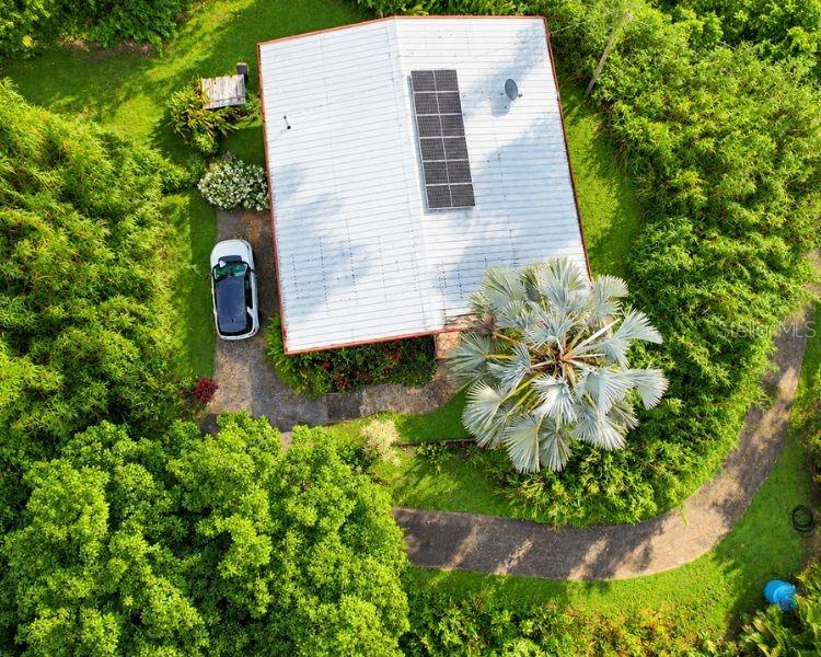 Carr 612 Don Alonso, Carr 612, Puerto Rico,00641 Property Photo 16