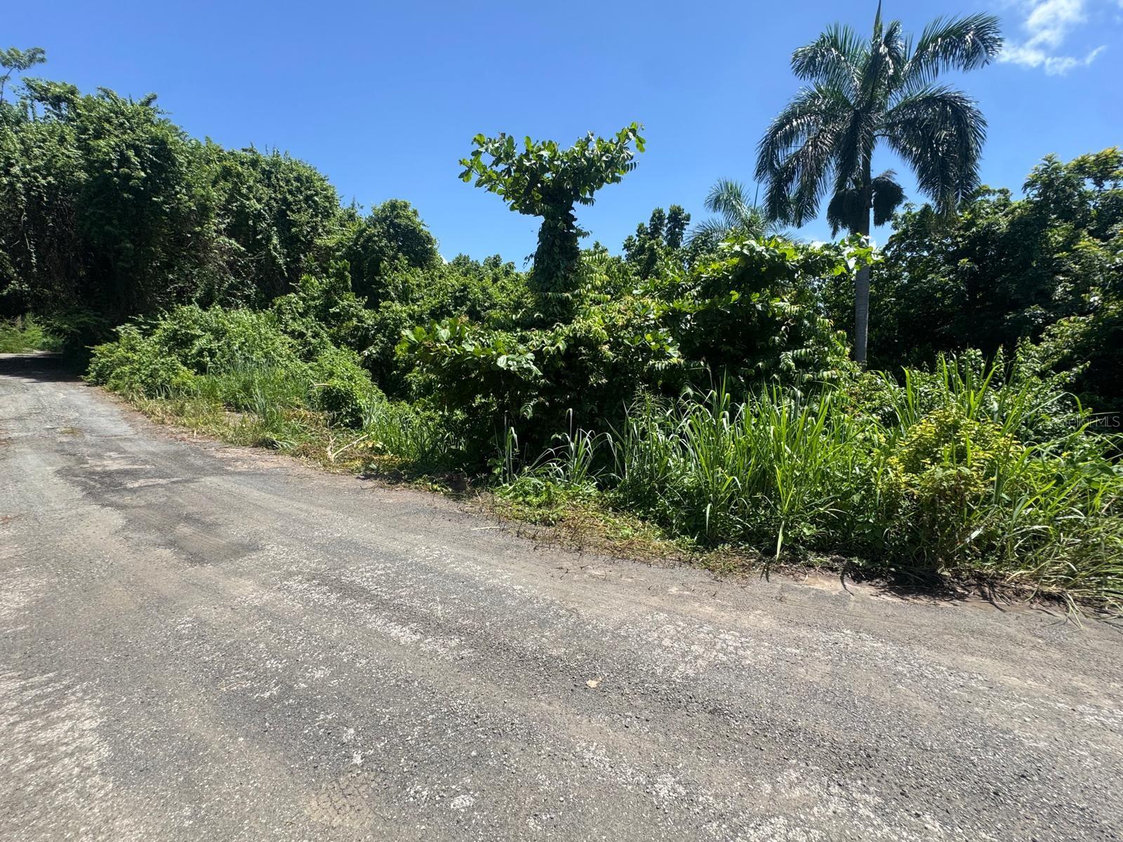 Carr. 361, Km. 3.9 Bo. Caín Bajo Property Photo 4