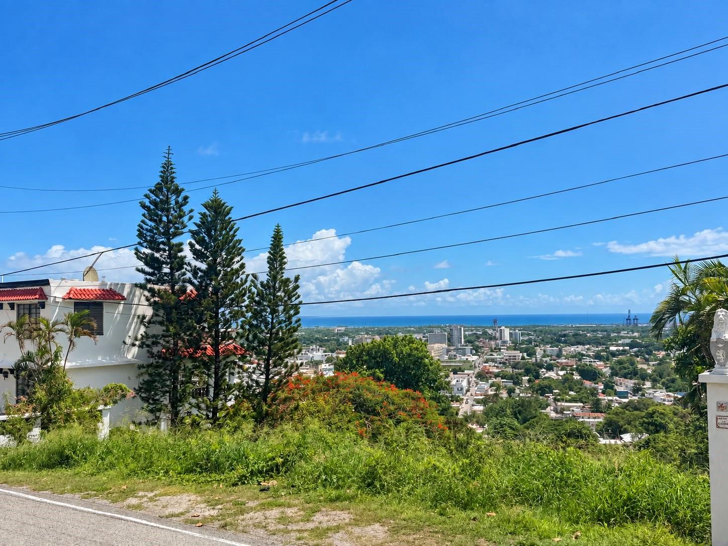 Lot E Paseo De La Cruceta St. El Vigia Property Photo 7