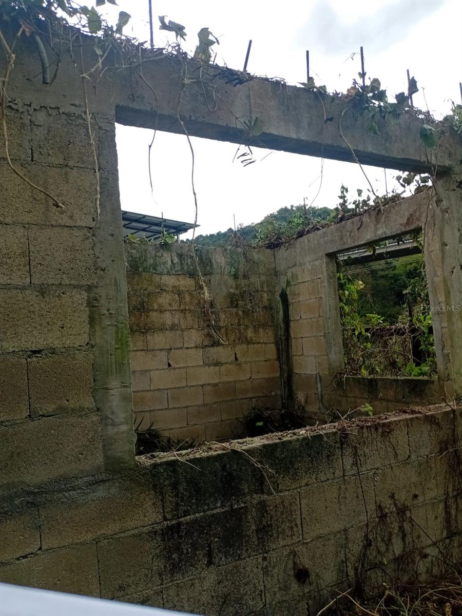 Km 5.5 Bo. Salto Arriba Property Photo 10