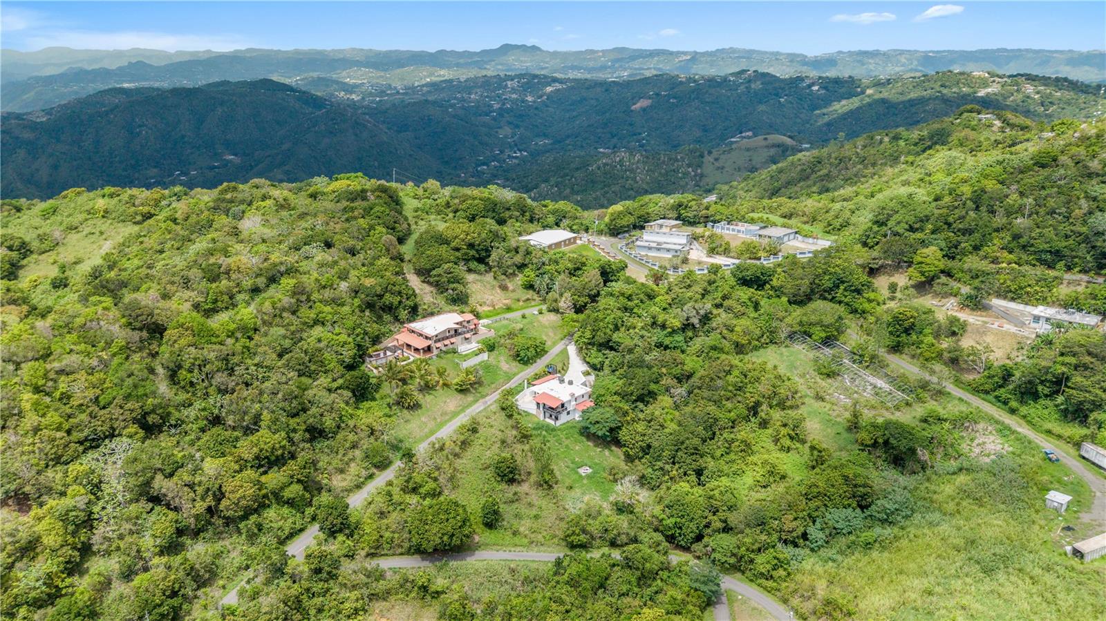 Carr 162 Bo Cuyón Property Photo 36