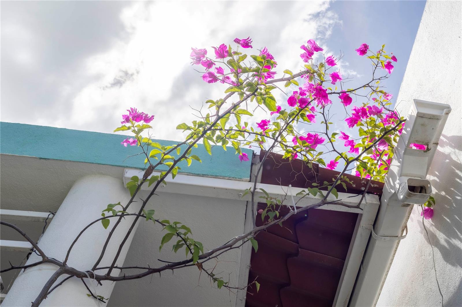 134 Valle De Anasco Property Photo 3