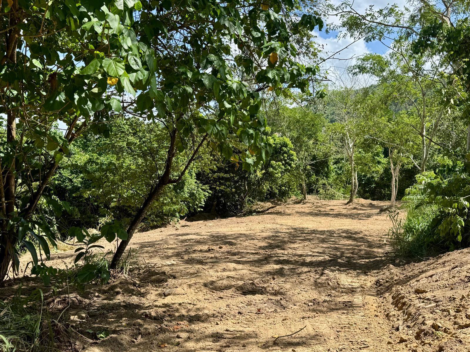Pr 796 Km 1.4 Rio Canas Ward Property Photo 3