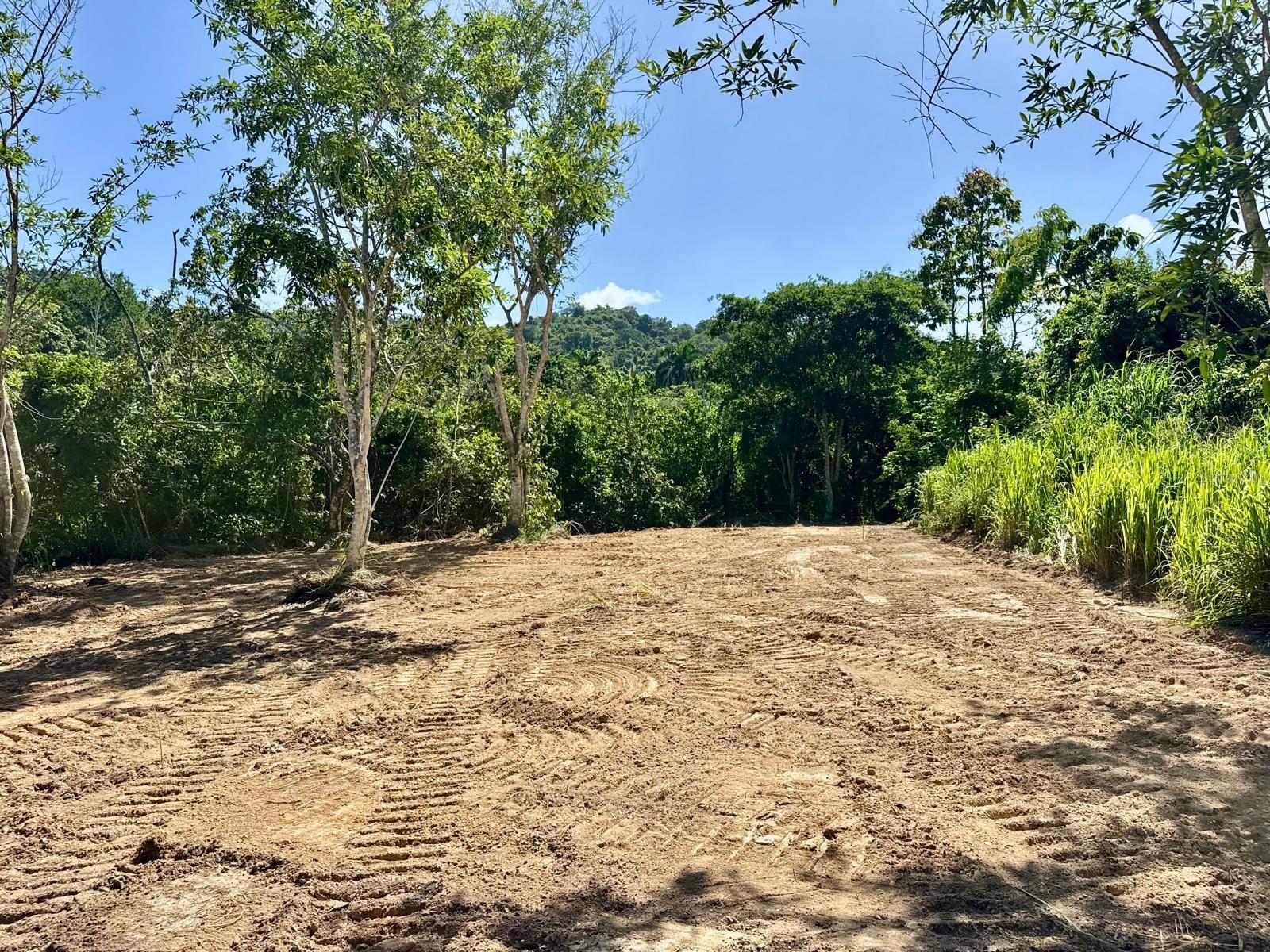Pr 796 Km 1.4 Rio Canas Ward Property Photo 5