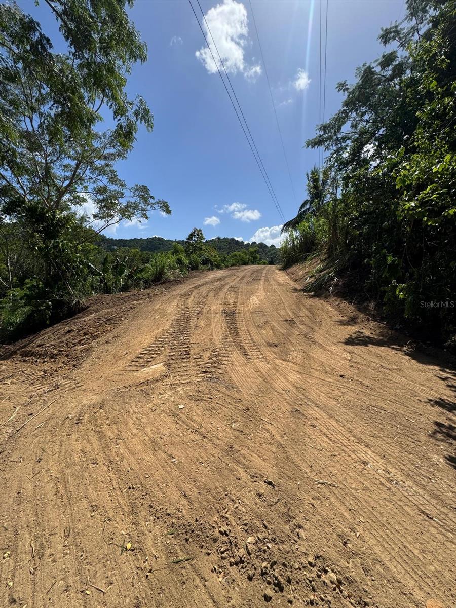 Pr 796 Km 1.4 Rio Canas Ward Property Photo 6