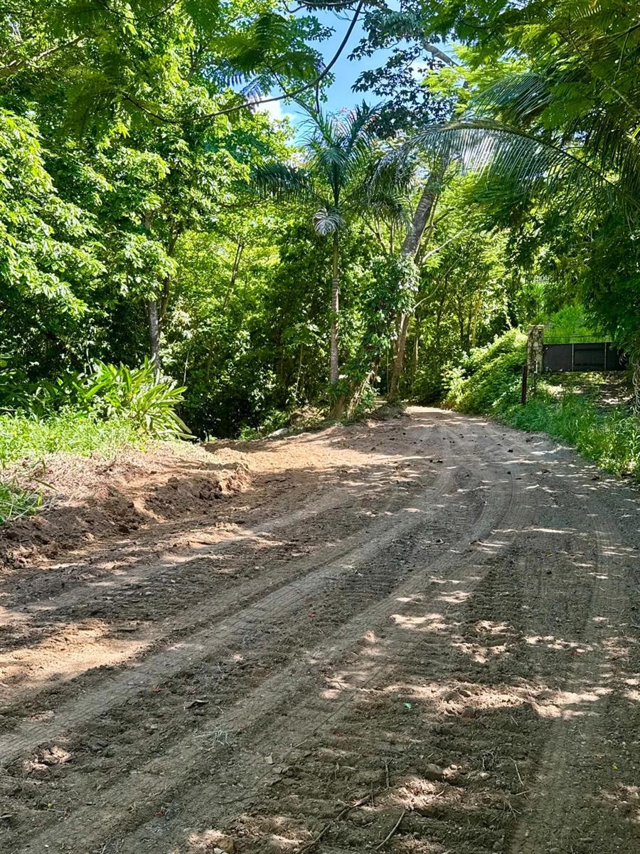 Pr 796 Km 1.4 Rio Canas Ward Property Photo 8