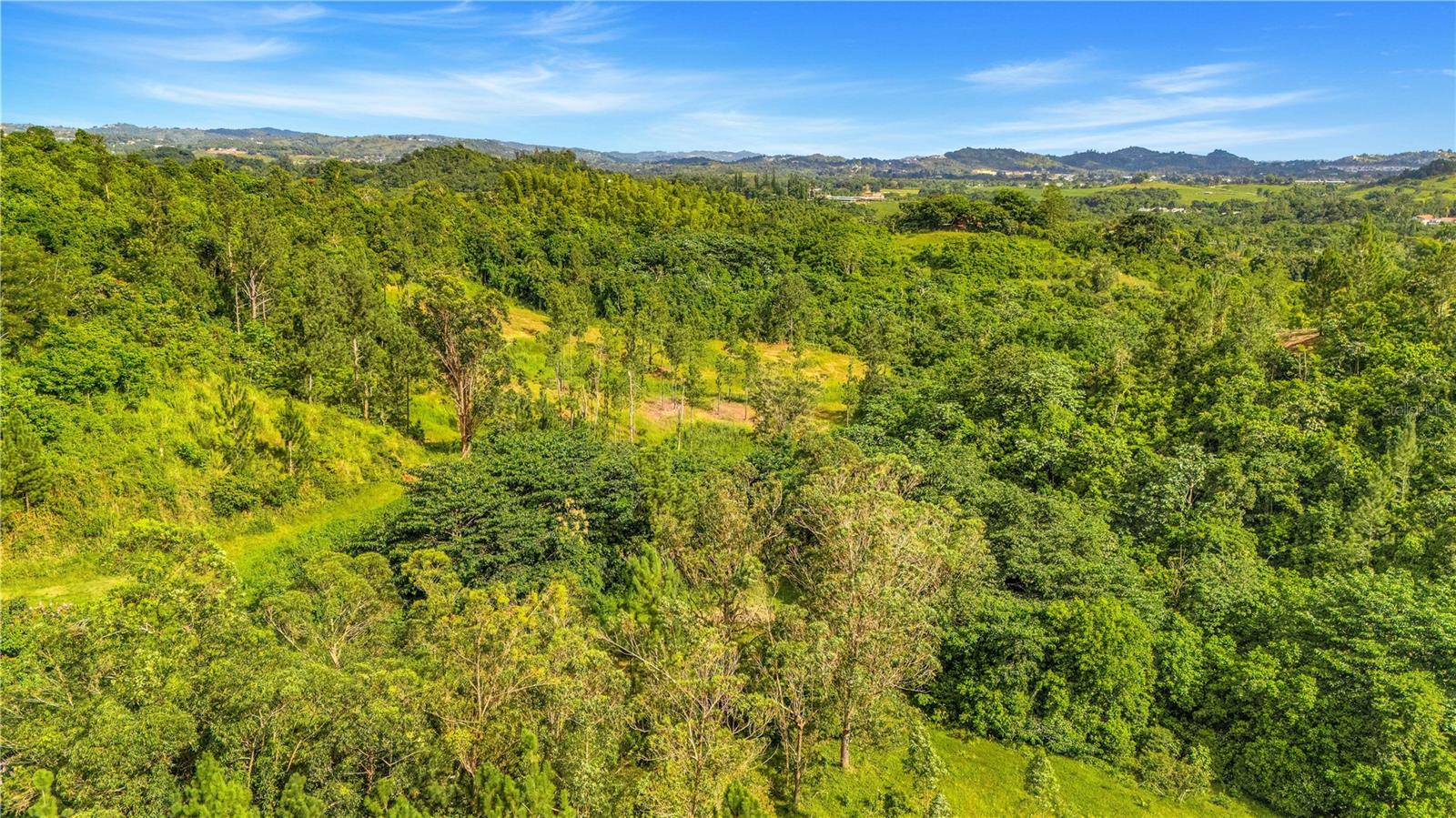 63 Sector Monticello Property Photo 3