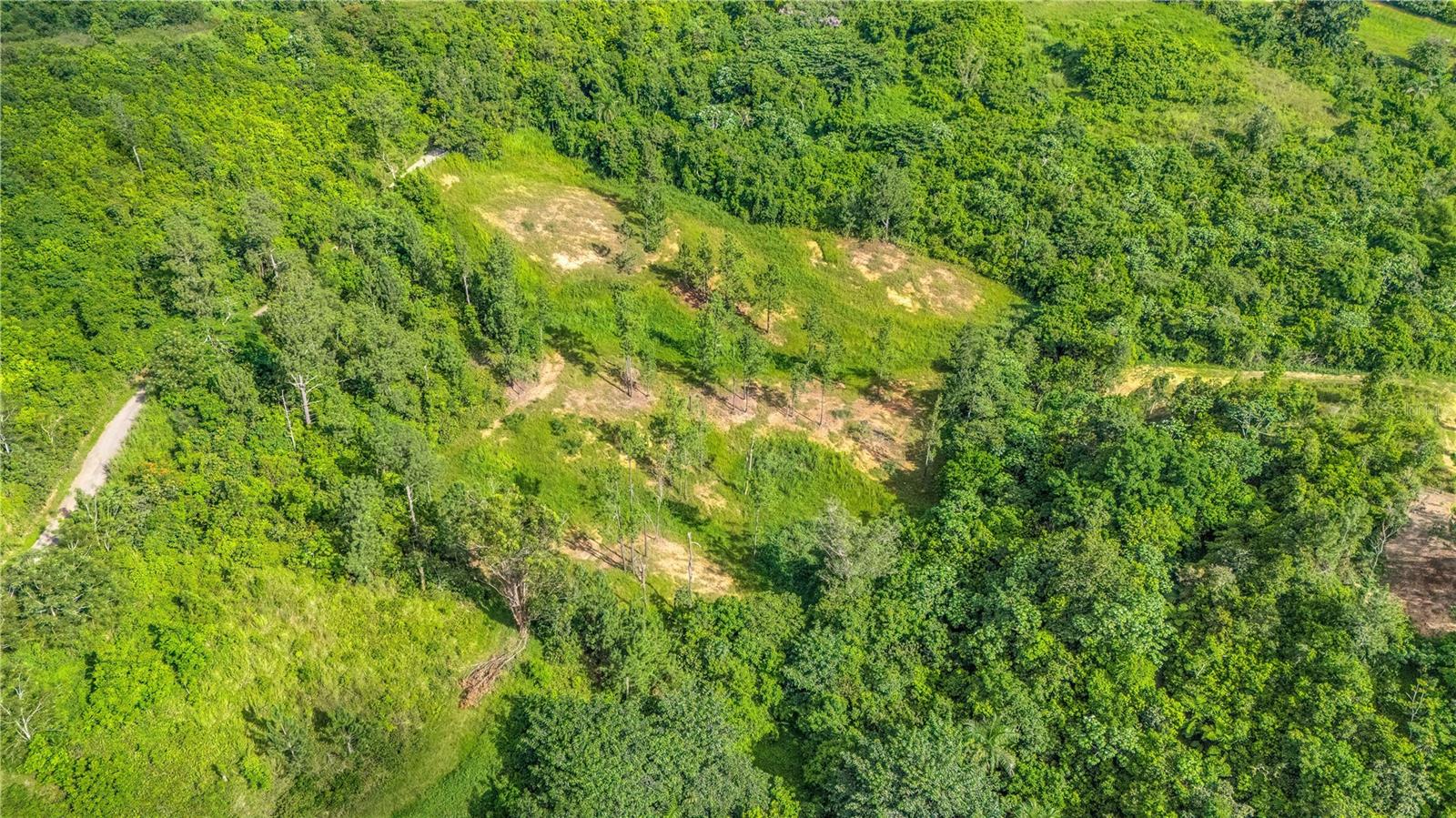 63 Sector Monticello Property Photo 4