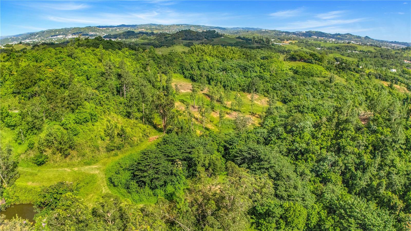 63 Sector Monticello Property Photo 6