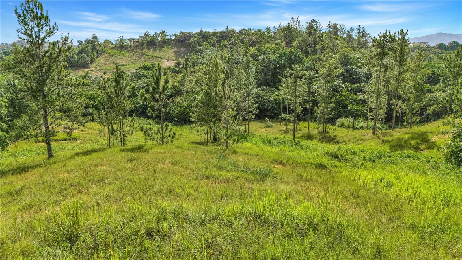 63 Sector Monticello Property Photo 10