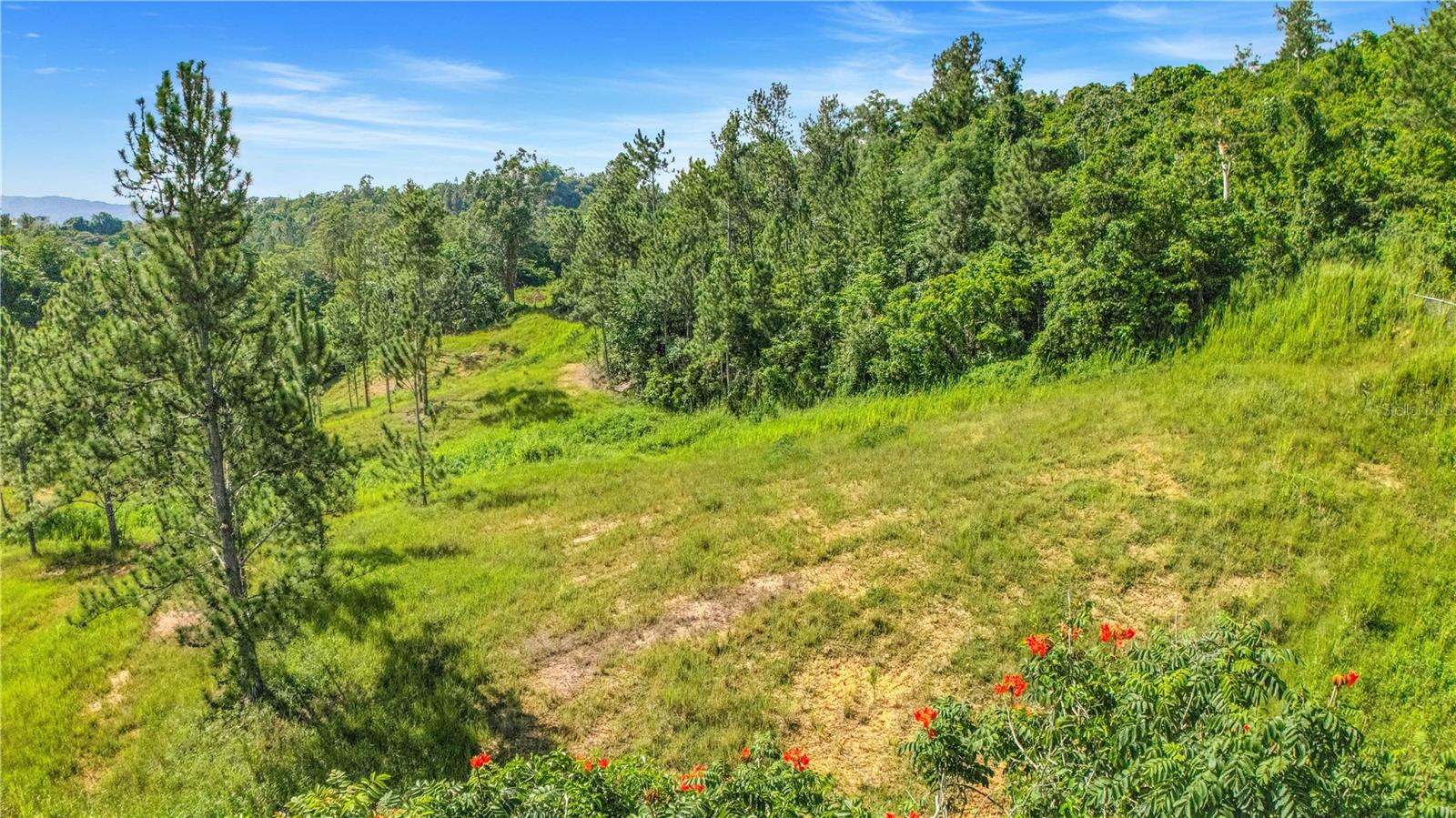 63 Sector Monticello Property Photo 11
