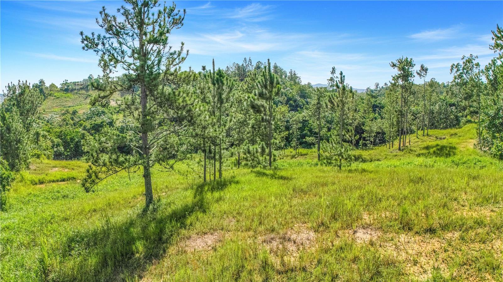 63 Sector Monticello Property Photo 12