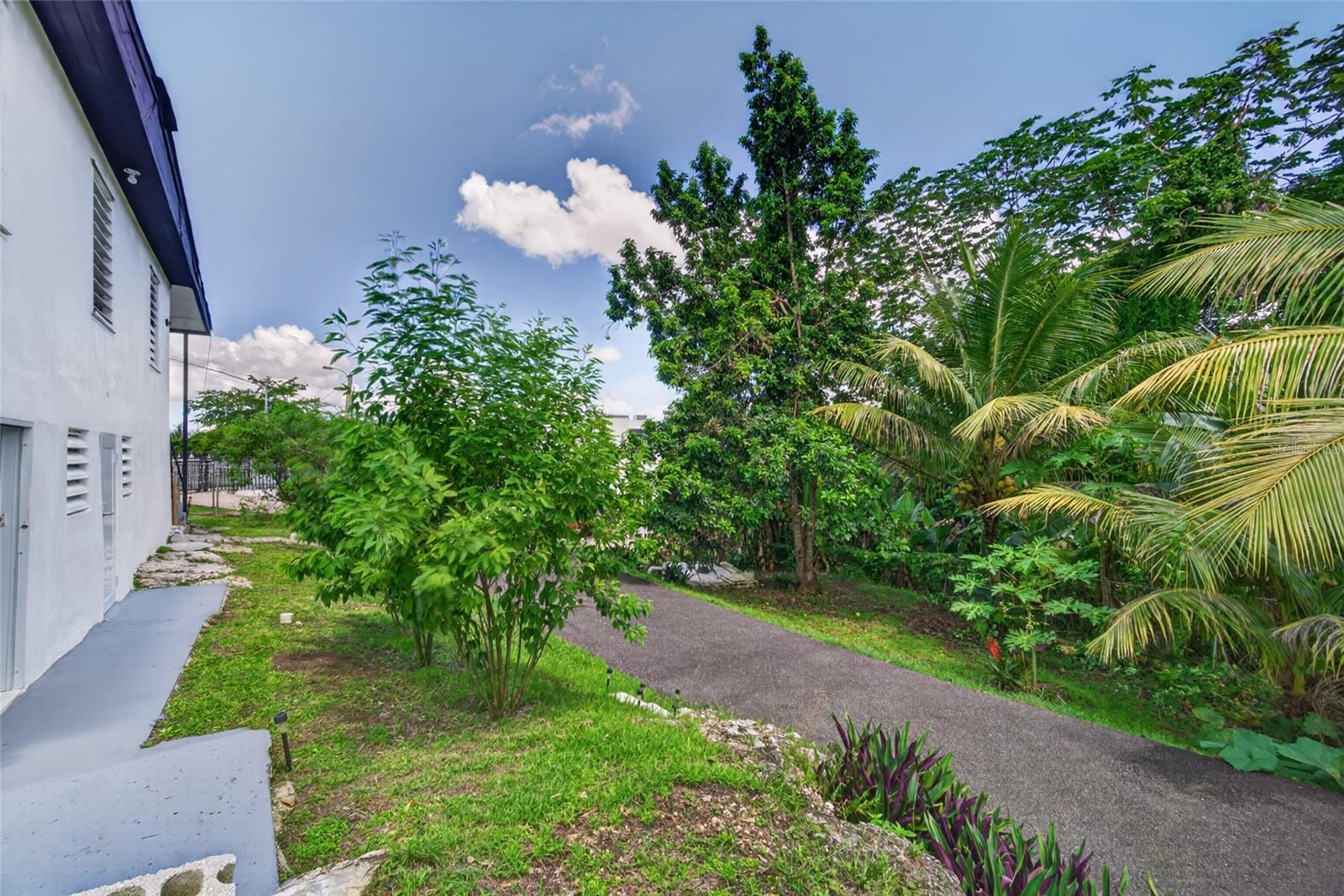 Carretera 454 H5.k6, Barrio Callejones Property Photo 20