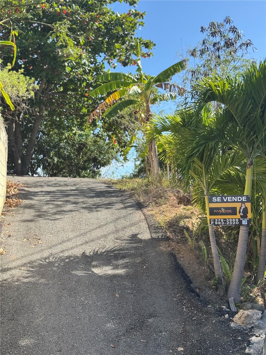 Pr 371 Urb Villa Real Property Photo 11