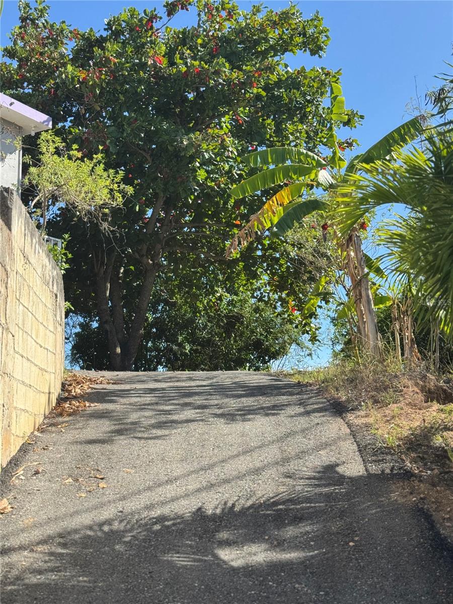 Pr 371 Urb Villa Real Property Photo 12