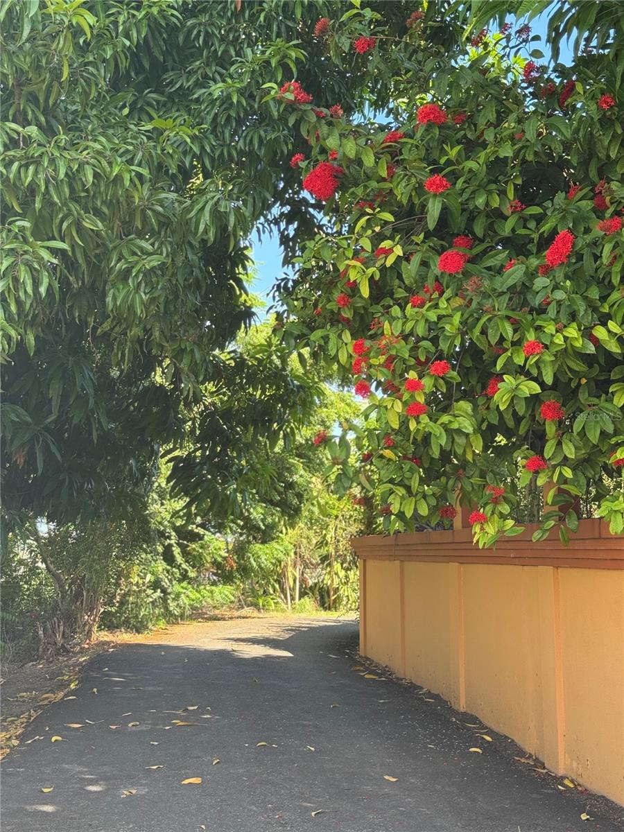Pr 371 Urb Villa Real Property Photo 23