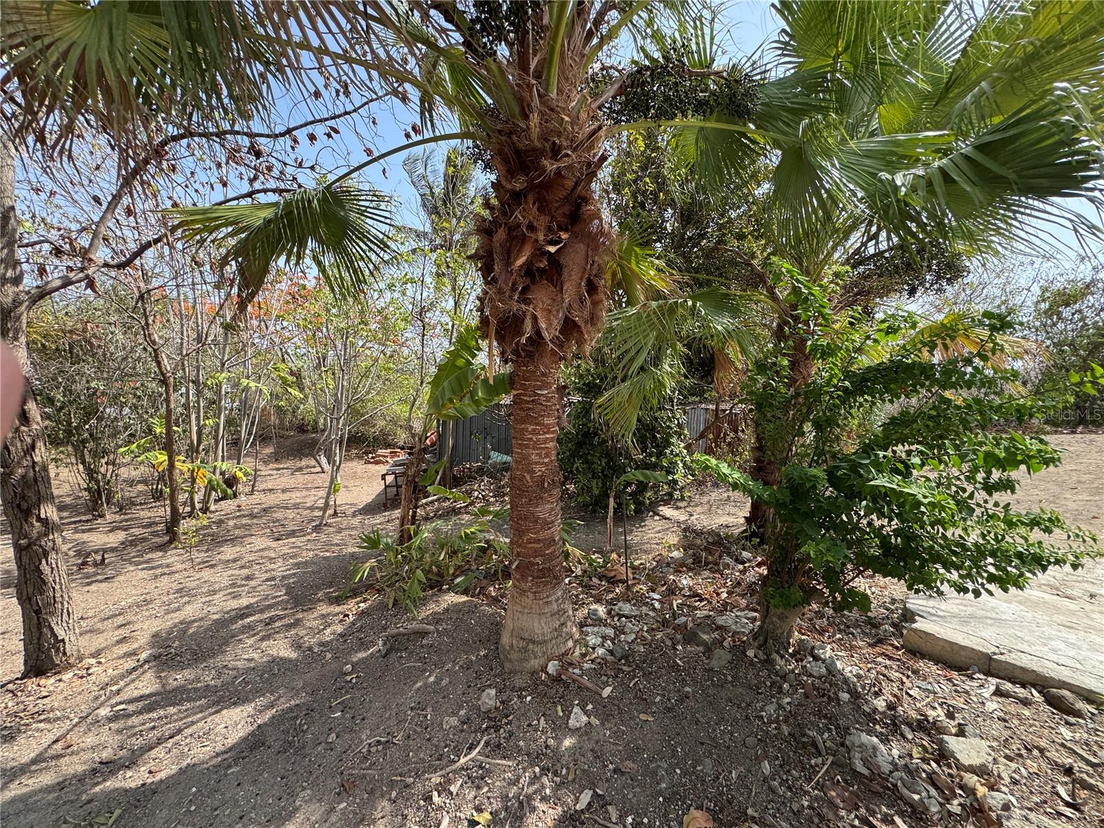 Pr 371 Urb Villa Real Property Photo 41