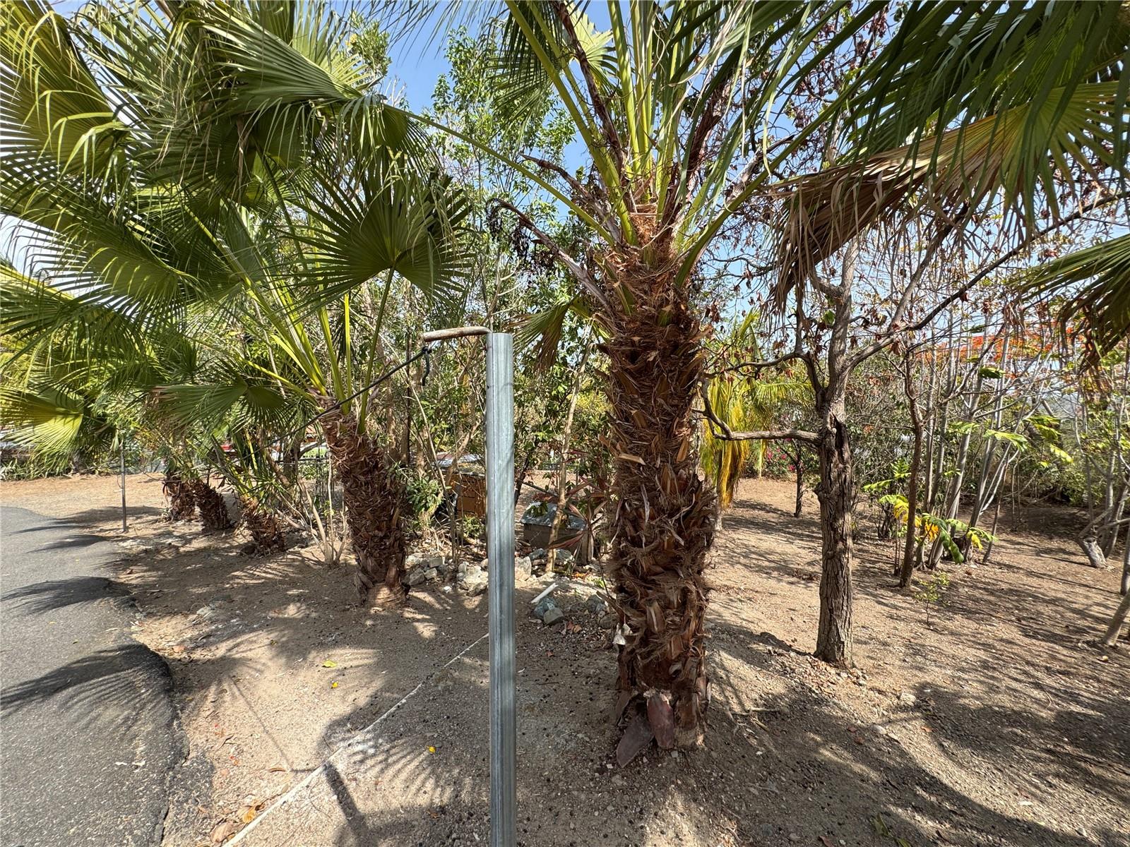 Pr 371 Urb Villa Real Property Photo 42
