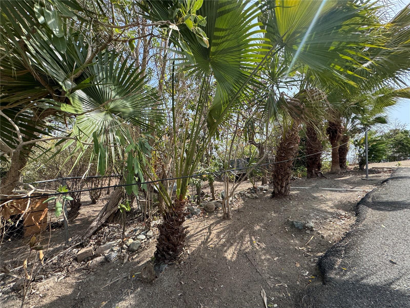 Pr 371 Urb Villa Real Property Photo 46