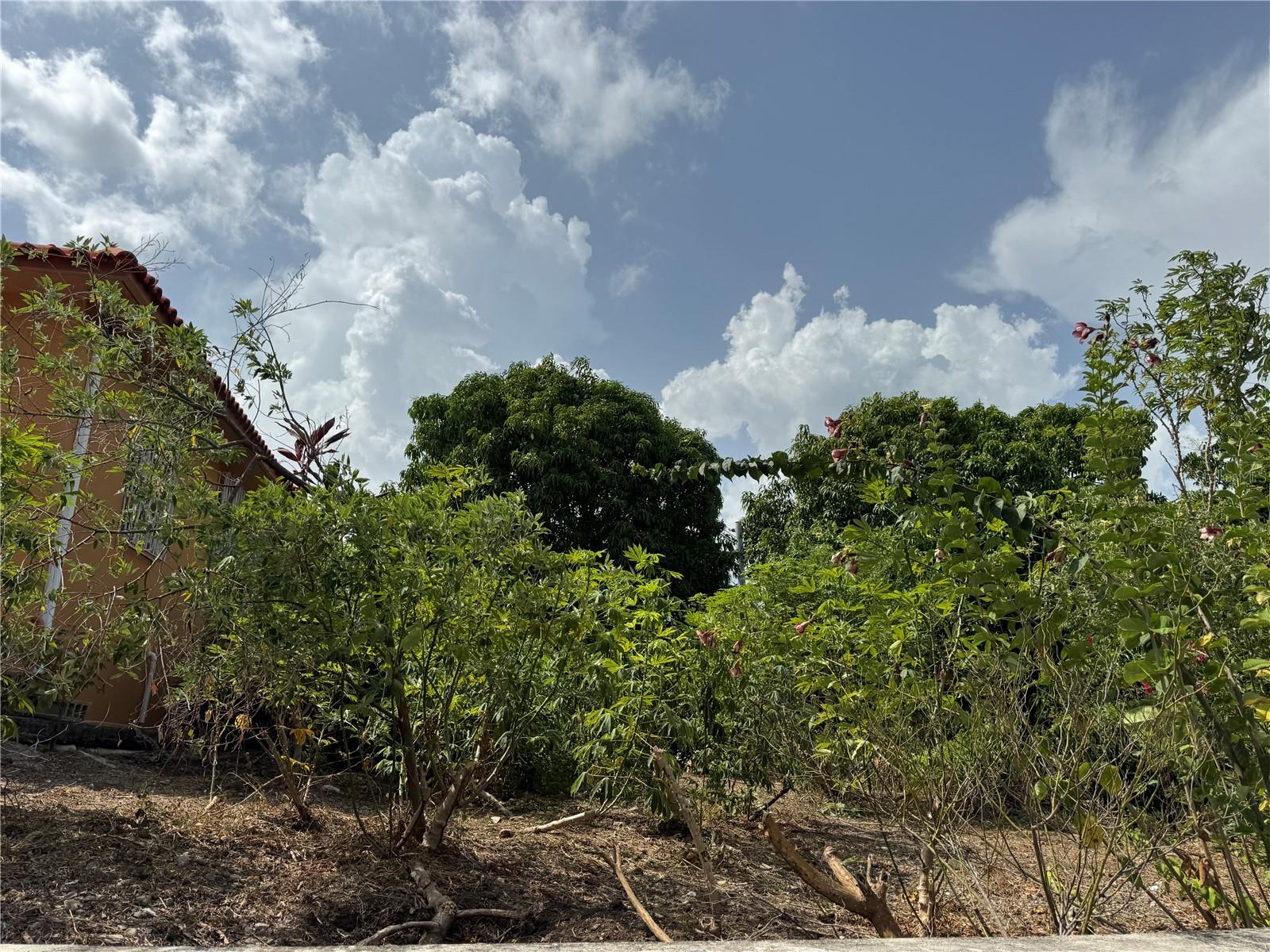 Pr 371 Urb Villa Real Property Photo 48