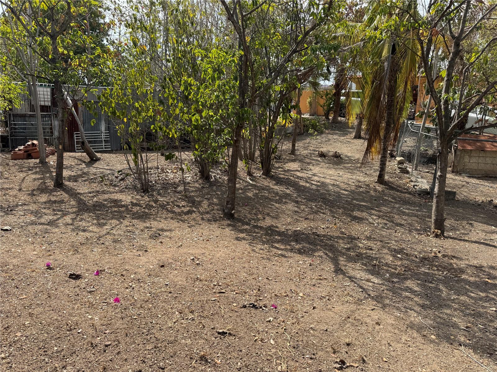 Pr 371 Urb Villa Real Property Photo 49