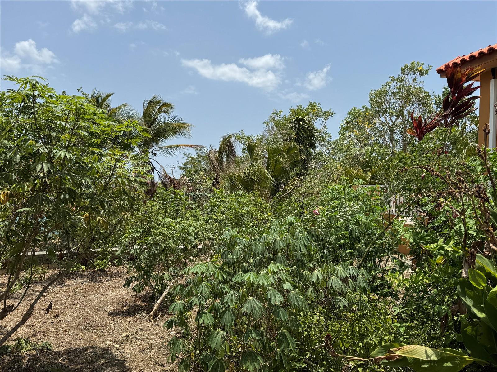 Pr 371 Urb Villa Real Property Photo 56