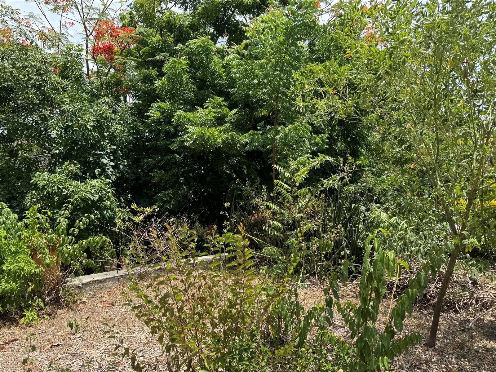Pr 371 Urb Villa Real Property Photo 57