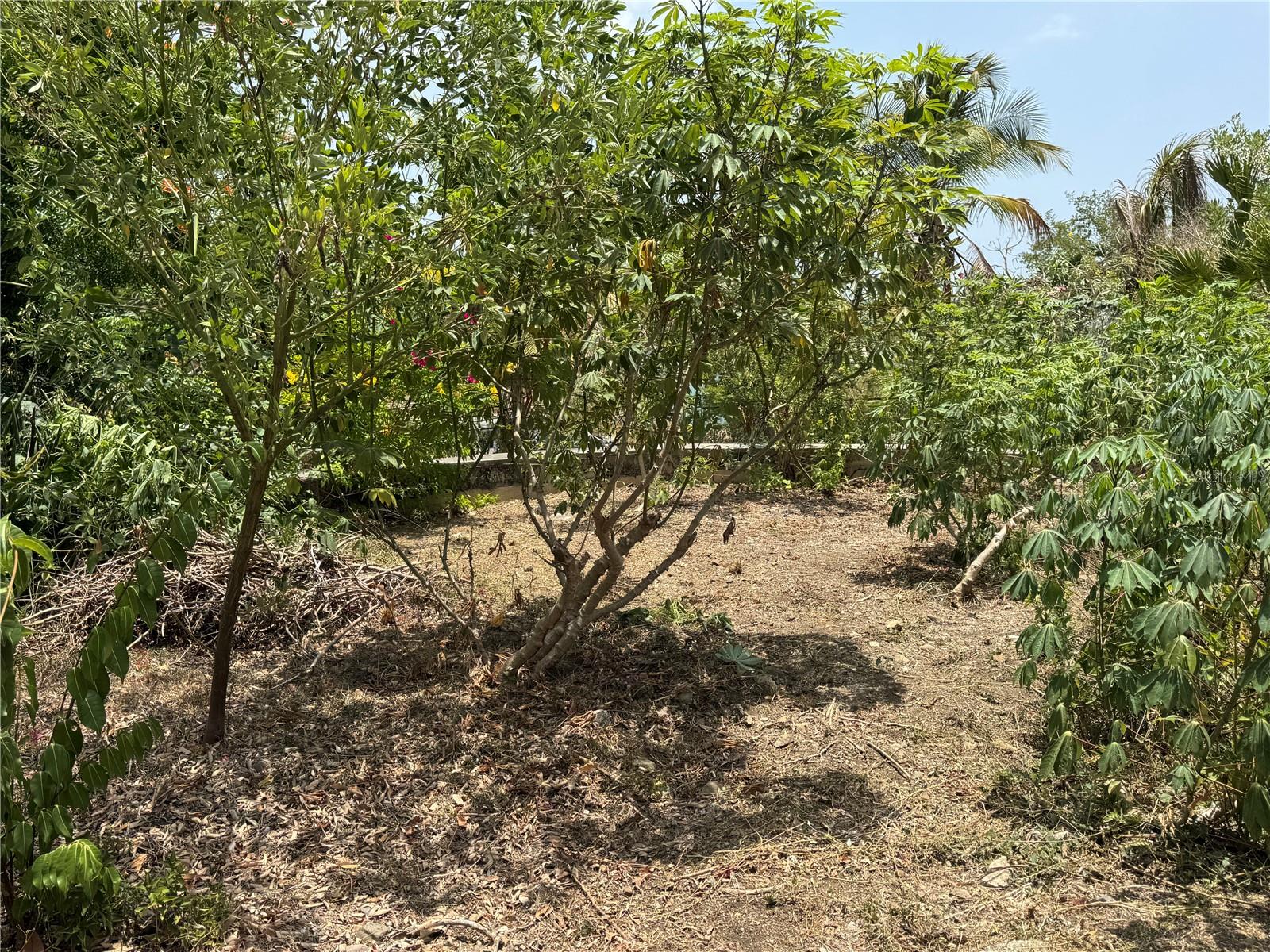 Pr 371 Urb Villa Real Property Photo 58