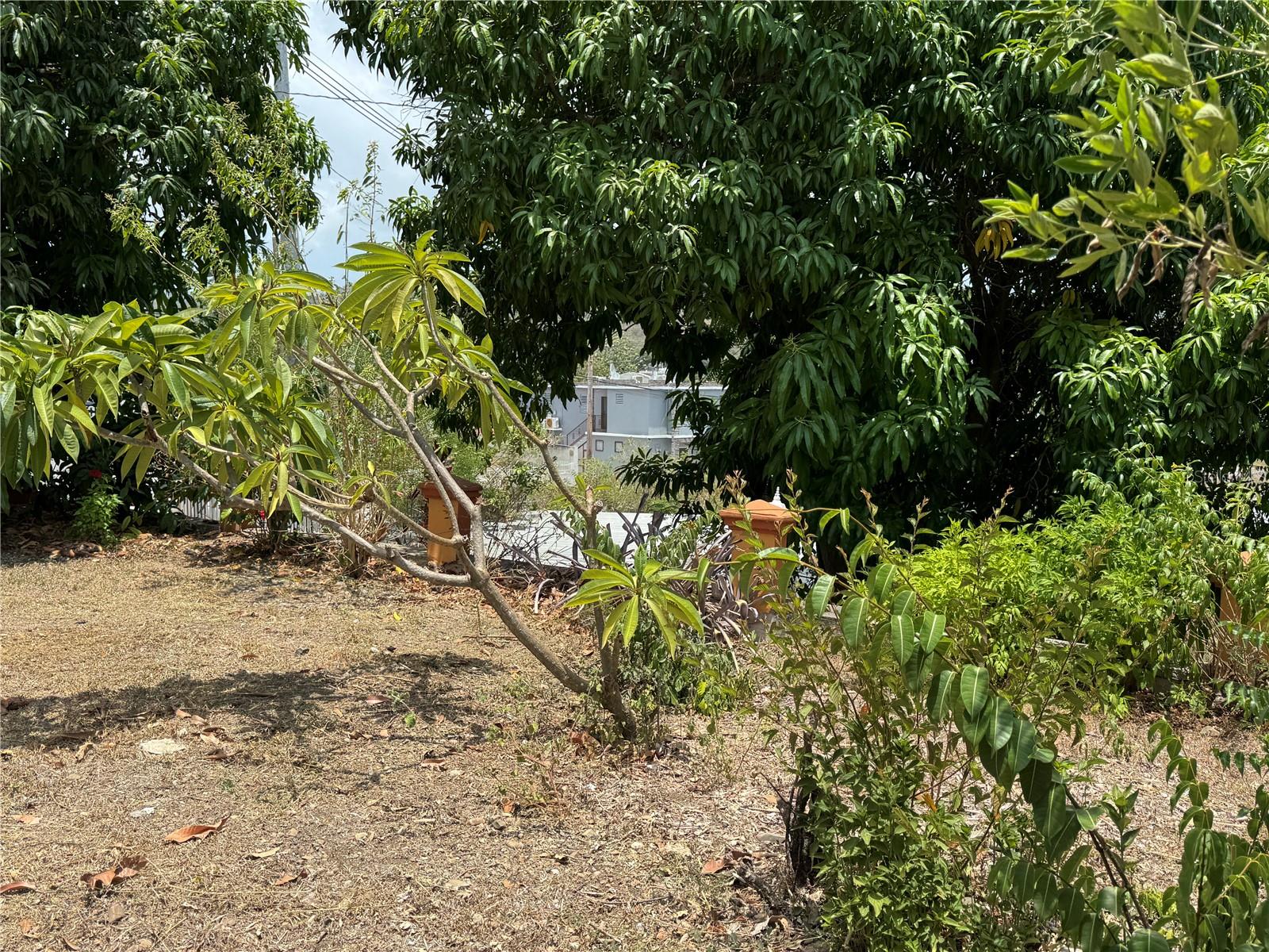 Pr 371 Urb Villa Real Property Photo 59