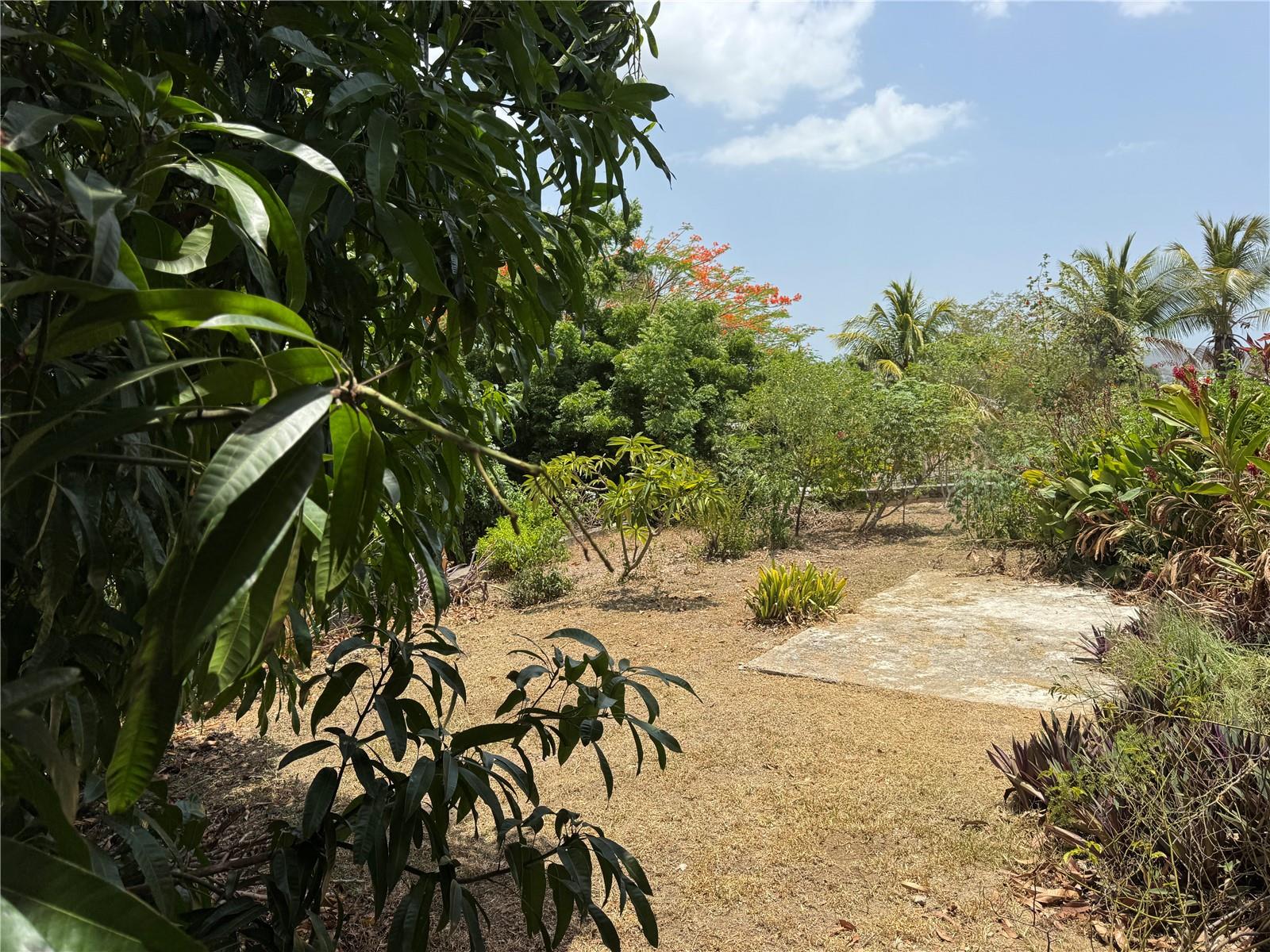 Pr 371 Urb Villa Real Property Photo 60